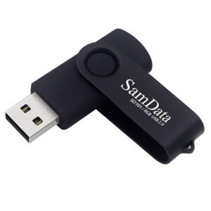Flash Drive - 8GB